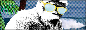 Zion Snowboards